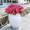 4PCS Home Decor Fake Plants Artificial Flowers Artificial Geraniums Outdoor Fake Flowers Artificial Flowers Fake Silk Bouquet